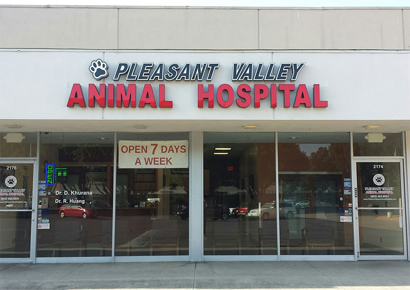 Carousel Slide 2: Pleasant Valley Animal Hospital